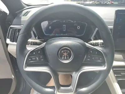 BYD PLUS New Energy