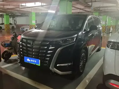 Denza Denza D9