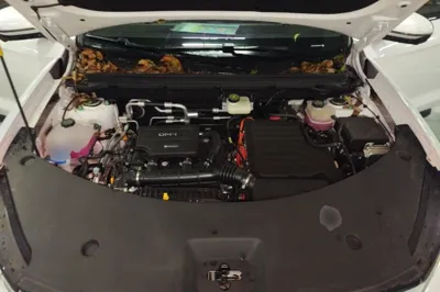 BYD Song Pro New Energy