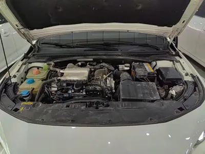 GAC Motor Shadow Leopard