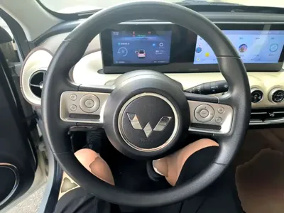Wuling Bingo