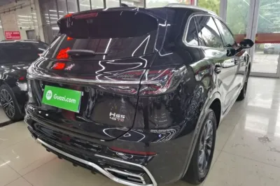 Hongqi HS5