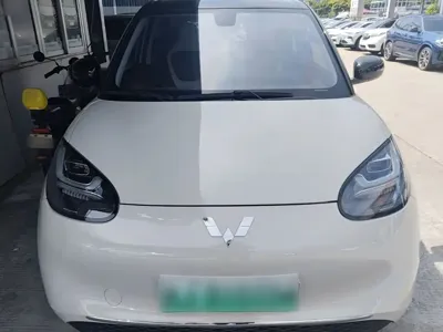 Wuling Bingo