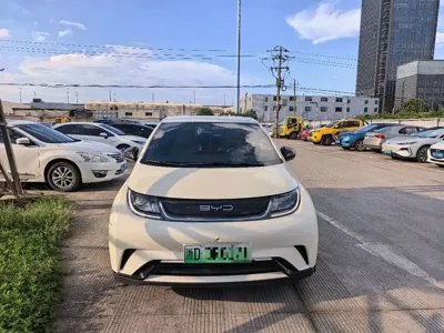 BYD Dolphin
