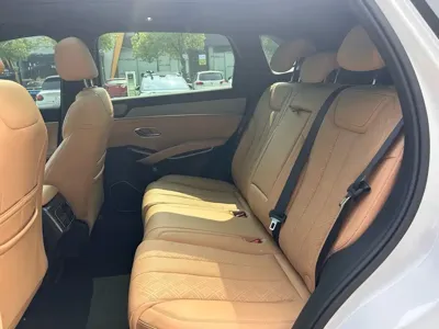 BYD L DM-i