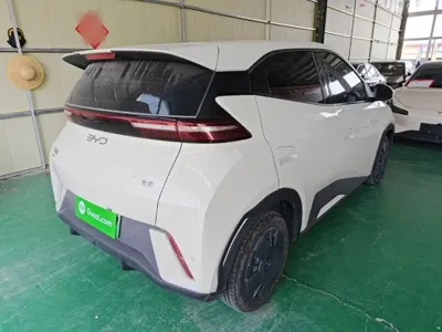 BYD Seagull