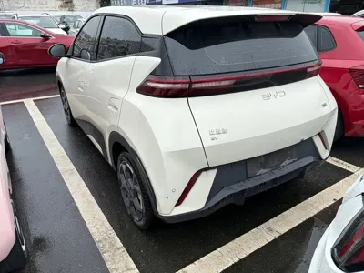 BYD Seagull