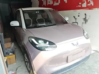 Wuling Bingo