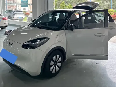 Wuling Bingo