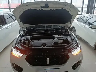 WEY Wey VV5
