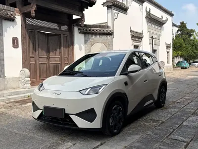 BYD Seagull