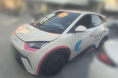 BYD Seagull