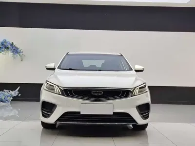 Geely Binrui
