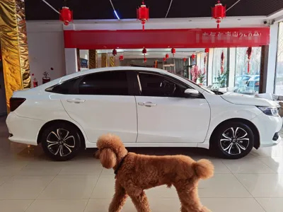 Honda Crider