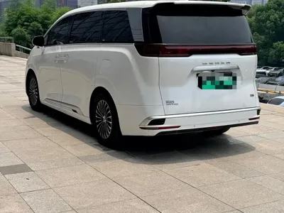 Denza Denza D9