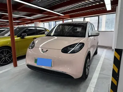 Wuling Bingo