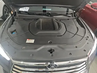 BYD Pro New Energy