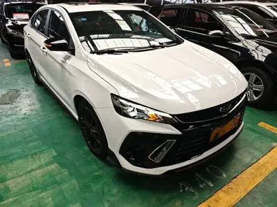Geely Binrui