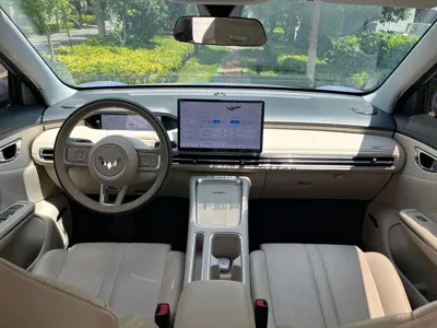 Wuling 缤果S