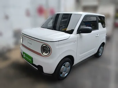 Geely Galaxy Panda