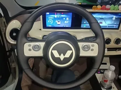 Wuling Bingo