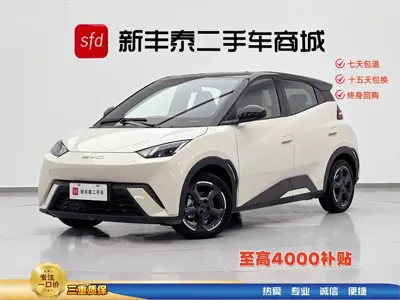 BYD Seagull