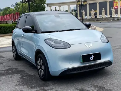 Wuling Bingo