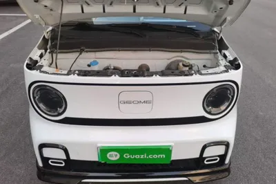 Geely Galaxy Panda