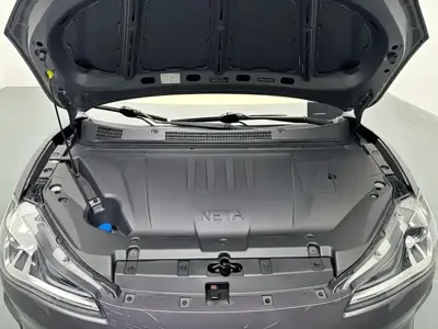 NETA Neta V