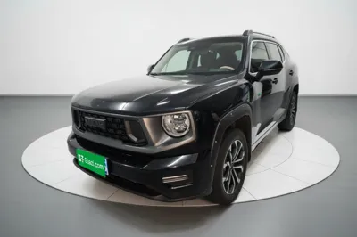 Haval H Dog