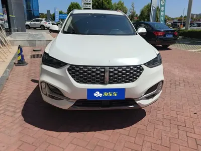 WEY Wey VV6