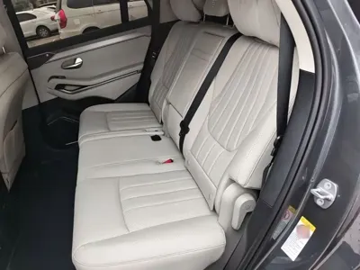BYD 唐L