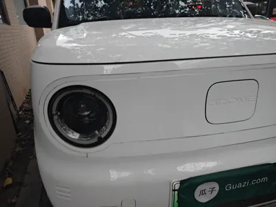 Geely Galaxy Panda