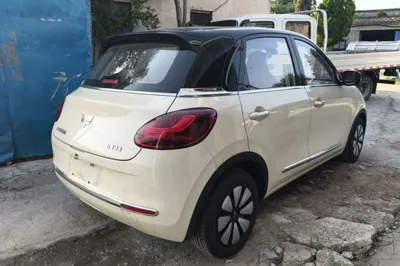Wuling Bingo