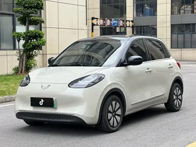 Wuling Bingo