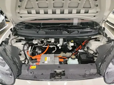 Wuling Bingo
