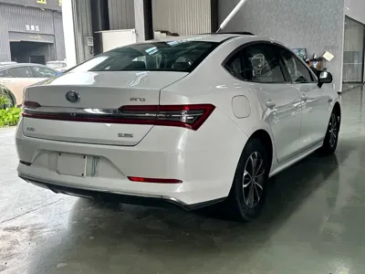 BYD Qin Pro NEV