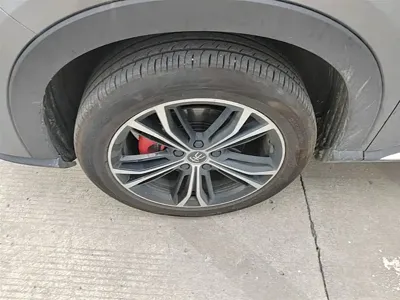 BYD PLUS