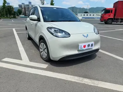 Wuling Bingo