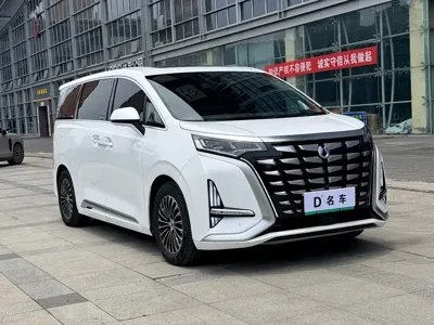 Denza Denza D9