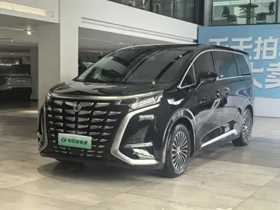Denza Denza D9