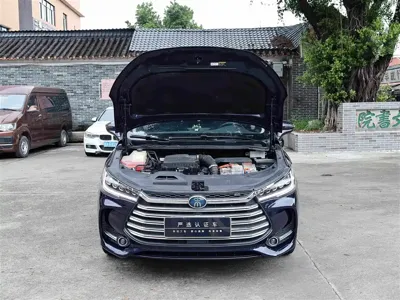 BYD MAX New Energy