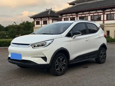 BYD Yuan Pro