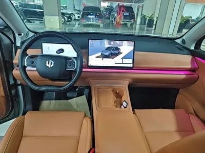 Leapmotor Leapmotor C10