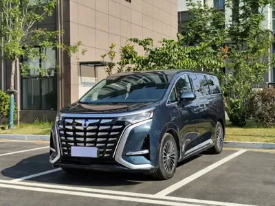 Denza Denza D9