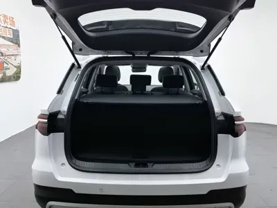 BYD Pro