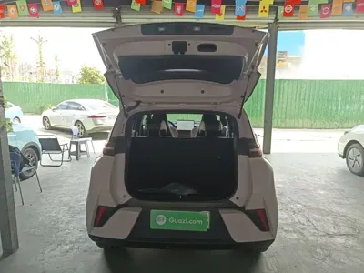 BYD Seagull