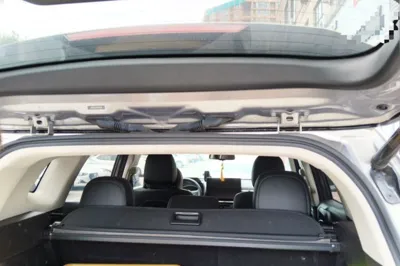 Haval H Dog