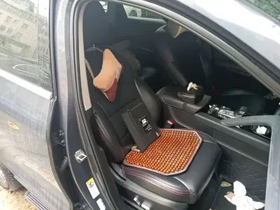 BYD Pro New Energy