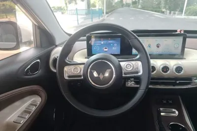 Wuling Bingo